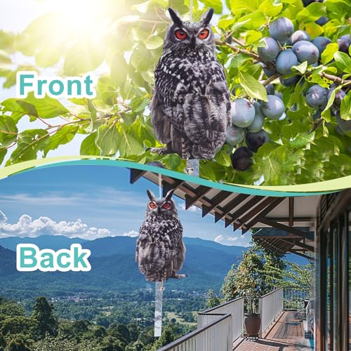 Owl Scarer for Gardens, 2Pack Fake Owl Hanging Effective Cardboard Owl Deterrent for Garden Patio Windows - color: 2 Feathered Owl02