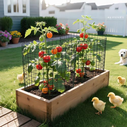 8 Pack 16x12 inch Plant Protector, Wire Garden Cages with Stakes & Ties - size: 24PCS-16"x 12"
