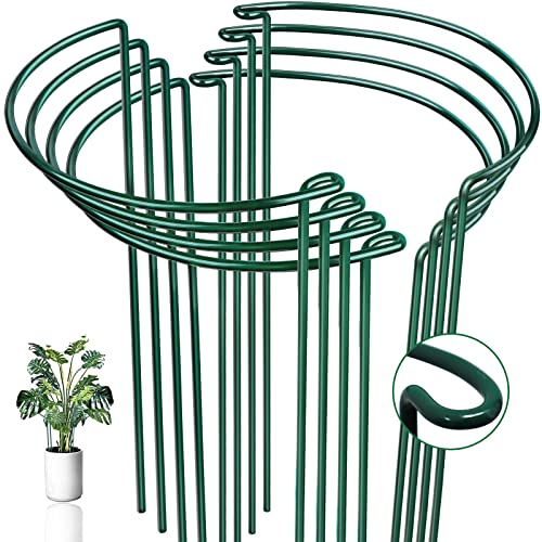 8 Pack Half Round Snake Plant Support Stakes Sets - Strong Plant Support and Cage, Durable Houseplant Stakes, Plant Support Ring for Indoor and Outdoor Plants, Such as Aloe, Peony, Hydrangea, ZZ - size: 16x10in