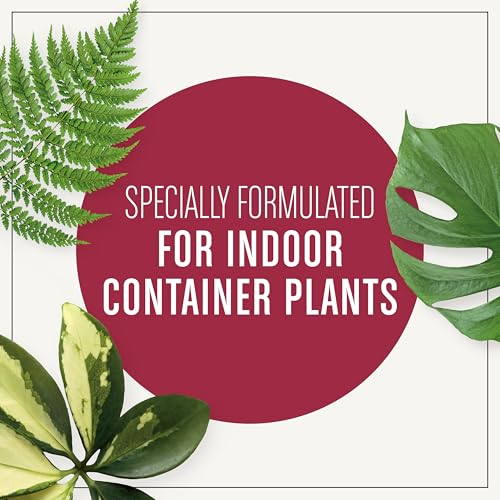 Miracle-Gro Houseplant Potting Mix, 4 qt. (2-Pack) - size: 2 Pack, style: Houseplant