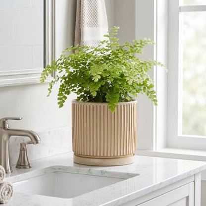 8 Inch Flower Pot, Ceramic Planters, Round Plant Pot, Beige - color: Beige, size: 8 Inch