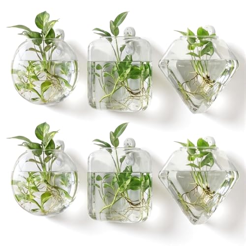 LemonRoad 6 Pcs Wall Hanging Glass Planters, Propagation Station Vases