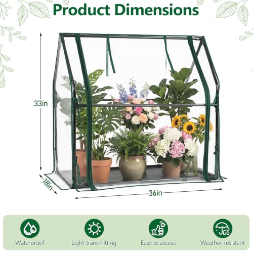 Mini Greenhouse with Waterproof Pad, 36"×18"×33" Tabletop Small Greenhouse for Indoor Outdoor Seed Starting, Portable Plant Cover Tent for Seedlings, Germination, Plant Protection - size: 36" x 18" x 33"