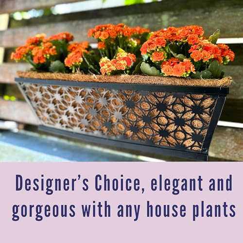 LaLaGreen Garden Wall Planter (16 in, 2 Pack) Black Window Flower Box - size: 16" (41cm) x 2 pack