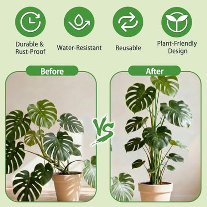 Telescoping Monstera Support Stakes, Detachable Plant Sticks 2 Pack - size: 2PACK-43.3in