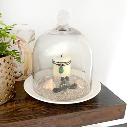 Plymor 6" x 7" Bell Jar Glass Display Dome Cloche (Small - Interior Size 5.75 inch x 5.75 inch) - size: 6" x 7"
