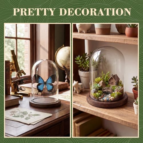 Suclain 4Pc Glass Dome Cloche with Wood Base, Brown, 5.9" X 3.8" - color: Brown, size: 5.9" X 3.8"