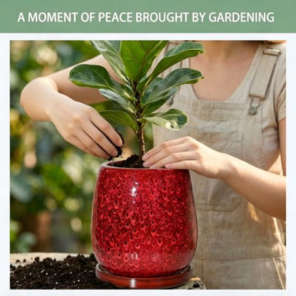 10.3 Inch Ceramic Glaze Plant Pot with Saucer, Flower Pots with Drainage Hole Mesh Net (Spot Red) - color: Spot Red