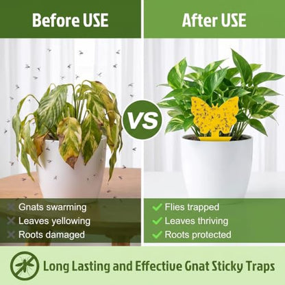 40 Pack Fungus Gnat Traps, Yellow Sticky Fruit Fly Traps for Indoor Plants - size: 40 packs