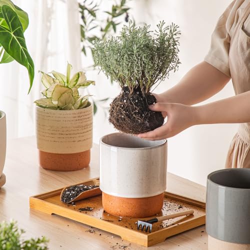 6 Inch Ceramic Self Watering Planter with Drainage Hole, Grey - color: Retrogrey, size: Small