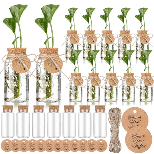 Baderke 24 Pack 3.54'' Plastic Plant Propagation Stations with Hole Lid - style: 3.54''