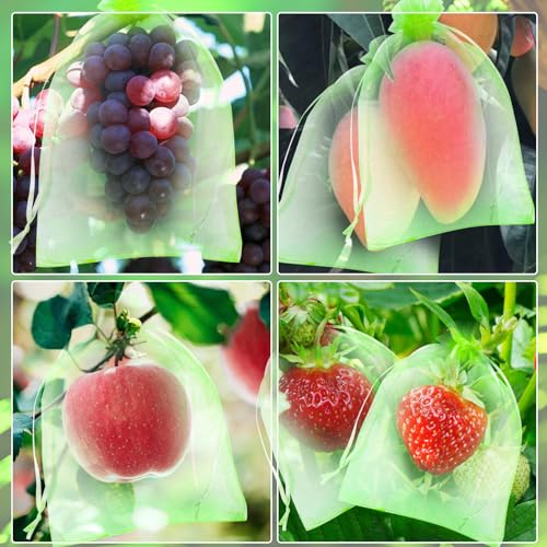 60 Pcs Fruit Protection Netting with Drawstring - Fruit & Veg Net Cover Mesh Bags (Green, 3 Sizes) - color: 60pcs-6''+8''+12''