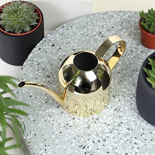Small Watering Can for Indoor Plants, 15oz/450ml Stainless Steel Long Spout Watering Can for Succulents, Herbs (Gold) - color: Gold