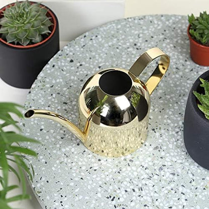Small Watering Can for Indoor Plants, 15oz/450ml Stainless Steel Long Spout Watering Can for Succulents, Herbs (Gold) - color: Gold