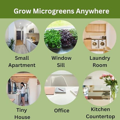 Microgreen Refill – 4 Harvests: Hydroponic Medium and 4 Pack Organic Seeds - style: Hydroponic Confetti Refill