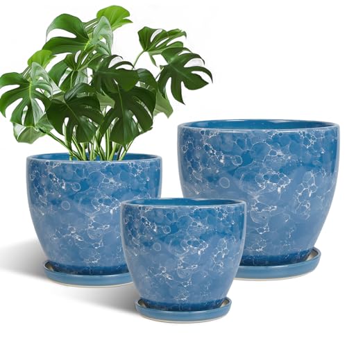 Ceramic Flower Pots, 10 Inch 8 Inch 6 Inch Plant Pot Indoor, Blue - color: Sky Blue