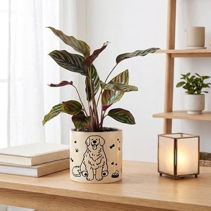 STHIE Ceramic Planters with Drainage Holes, 5 Inch Pots for Indoor Plants - color: Cy-goldbowl01