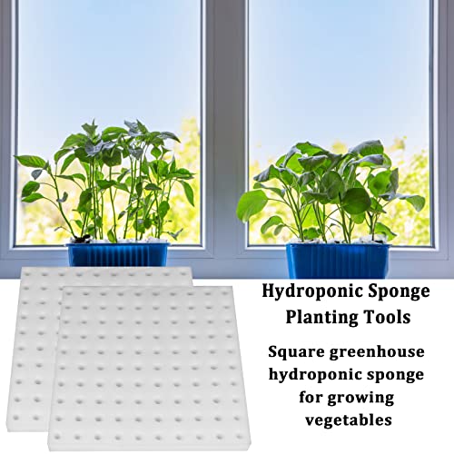 200 Pack Hydroponic Sponge Planting Tool Square Seedling Sponges Greenhouse Hydroponic Sponge Hydroponic Vegetable Planting Sponge for Small Bud Growth