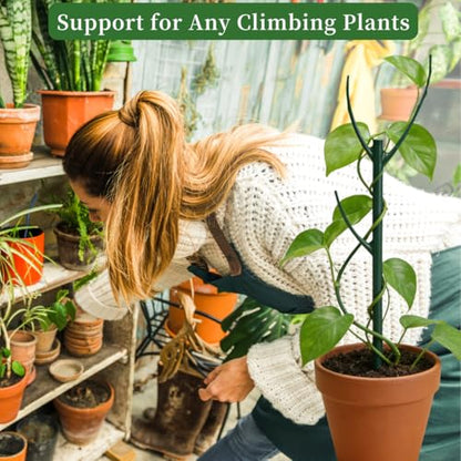 4 Pack Stackable Monstera Plant Support Stakes, 29inch Climbing Plant Sticks Structures with Garden Ties, Durable Alternative to Moss Pole for Indoor Outdoor Plants - size: 4 Pack