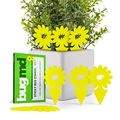 BugMD Yellow Sticky Bug Traps for Plants, 12 Pack