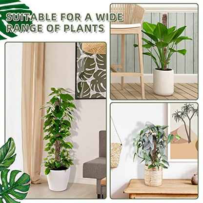 Small Moss Pole for Monstera - Stackable & Refillable Plastic Moss Poles for Climbing Plants with Large Mesh Design (12Pack-White-Small) - size: 12Pack-White-Small