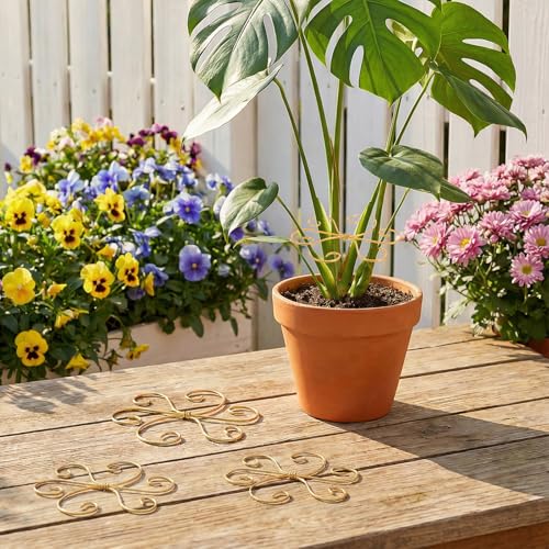 COMNICO Plant Stem Support 6 Pcs Monstera Durable Metal Plant Holder Stakes