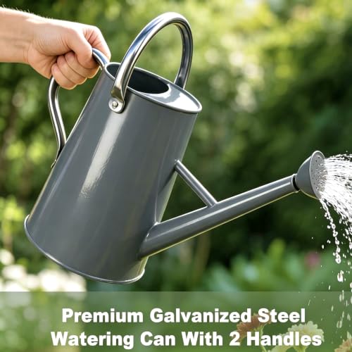 1.5 Gallon Large Watering Can for Outdoor&Indoor Plants - color: Gray