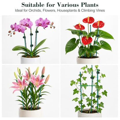 Jetec 110 Pcs 15 Inch Plant Support Kit for Small Orchids, Stakes, Clips