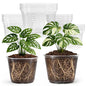 Bluepro Clear Nursery Pots with Drainage Holes, 5/6/8/10 Inch, 16-Pack - size: 5/6/8/10 Inch-16Pcs