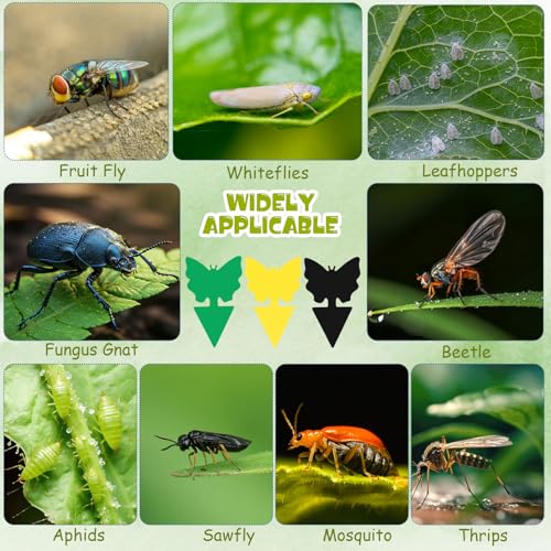 60 Pack Fruit Fly Traps Fungus Gnat Sticky Traps Yellow Black Green Plant Fly Stickers Double Side with Shovel for Indoor Outdoor Kitchen Garden Houseplant Flying Bug Insect (Butterfly) - style: Butterfly
