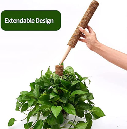 Eibikdi 101in Moss Pole for Plants Monstera 8 Pcs - size: 8 Packs