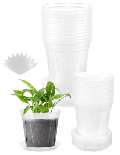 24 pcs 6/5 inch Clear Nursery pots for Plants Saucers,5/6 inch Clear Heavy pots with Side Vents for Reporting Orchids,Aroid,Monstera, Indoor & Outdoor use - size: 5/6inch with trays