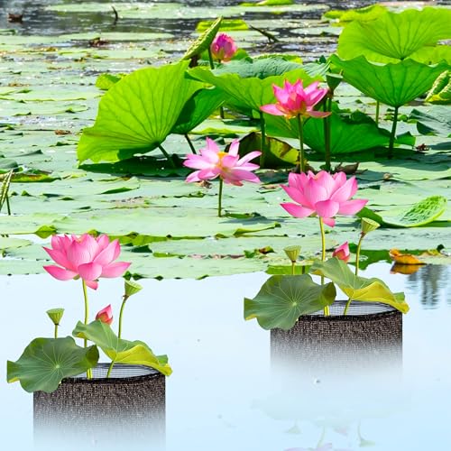 4 Pcs Aquatic Pond Planting Bags, Reusable Mesh Water Garden Pond Plant Pot - color: Black, size: Round