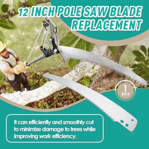 12" Pole Pruner Blade Compatible with Corona TP 3841, TP 3811, TP 3714, Etc