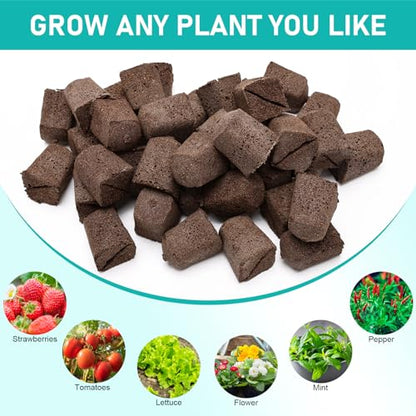 50P Seed Starter Sponge for Germinate Quickly Rapid Rooter Plug