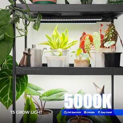 Barrina T5 LED Grow Lights, 1FT 10W (2 X 5W), 5000K Full Spectrum, 2 Packs - color: White, size: 1FT-Black Cover-2P