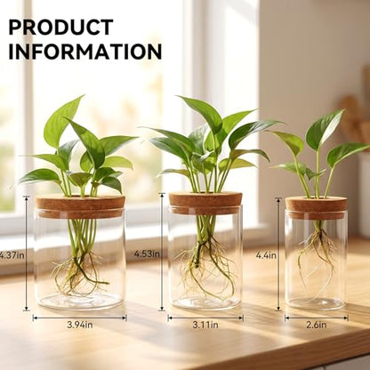 6Pcs 3 Size Glass Plant Propagation Stations, Desktop Flower Vases