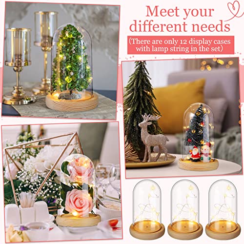 Remerry 6 Pcs Plastic Cloche Dome Display with Base and LED Light