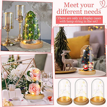 Remerry 6 Pcs Plastic Cloche Dome Display with Base and LED Light