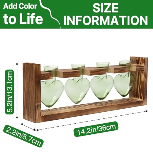 Plant Propagation Stations Heart Plant Terrarium Kit - color: Green