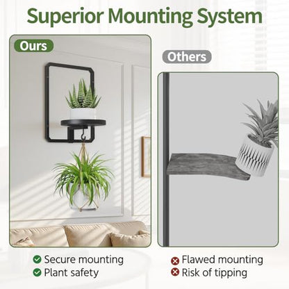 LASZOLA Plant Picture Frame Holder Shelf Wall Window Indoor, 2 Pcs Black - color: Black, size: 2