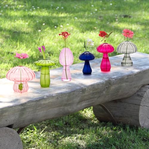 6Pcs Mushroom Vase, Coldairsoap Glass Mushroom Propagation Vases for Plants