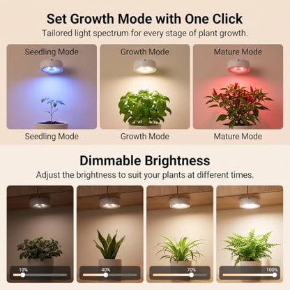 2 Pack Rechargeable Grow Light, Cordless Full Spectrum LED for Indoor Plants, Magnetic Mount, Timer & Remote, USB-C 2000mAh for Shelf, Herbs, Succulents, Seedlings & Greenhouse (Black)