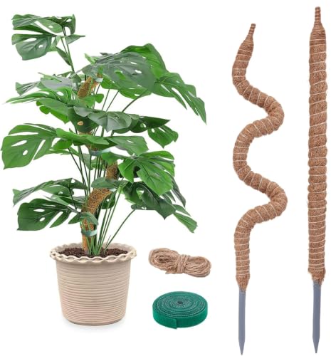 2 Pack 24 Inch Coco Coir Moss Poles for Climbing Indoor Plants - Handmade Plant Support for Creepers to Grow Upwards