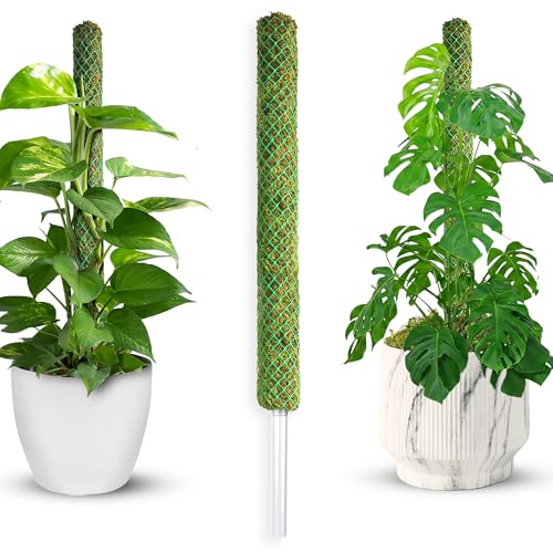 DUSPRO 1 Pack 22" Pre-Made Green Stackable Mesh Moss Pole for Plants - color: 1pc Green