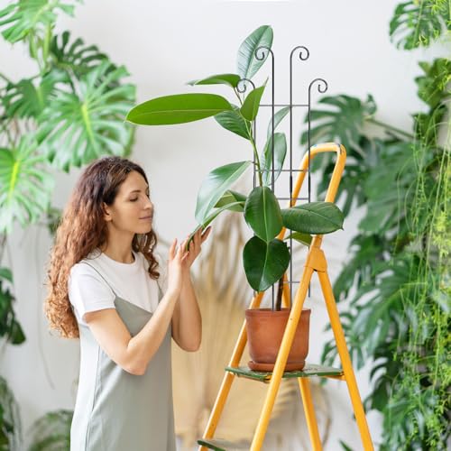 Coomin 32.6in Monstera Plant Support, Plant Trellis Indoor 4P - size: 32.6in/4p