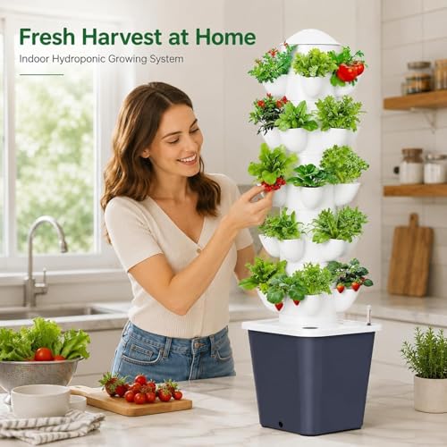 Plants Propagation Station