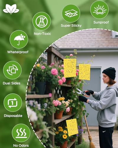 Gnat Sticky Traps for Plants -25 PCS + Kids Gardening Gloves - color: Color D-25PCS