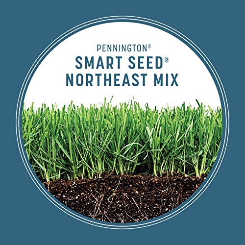 Pennington Smart Seed Northeast Mix 7lb, Grass Seeds for Lawn - size: 7 LB