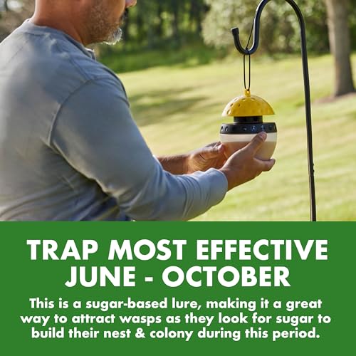 Spectracide Wasp, Hornet & Yellowjacket Trap, 1 Count - size: Trap (Pack of 1)